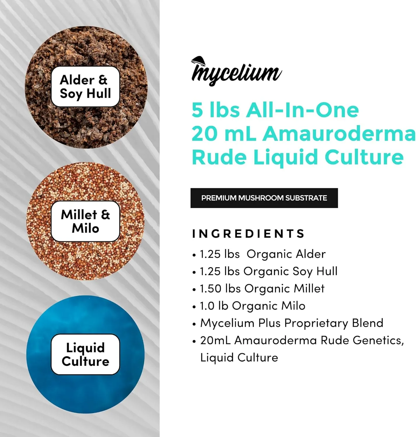 Mycelium Mushroom Growing Kit, Amauroderma Rude Gourmet I Alder & Soy Hull Substrate I High Yield Proprietary Mix I Grow Bag with 20ml Liquid Culture Syringe for Starter & Pro Home Growers, 5lbs