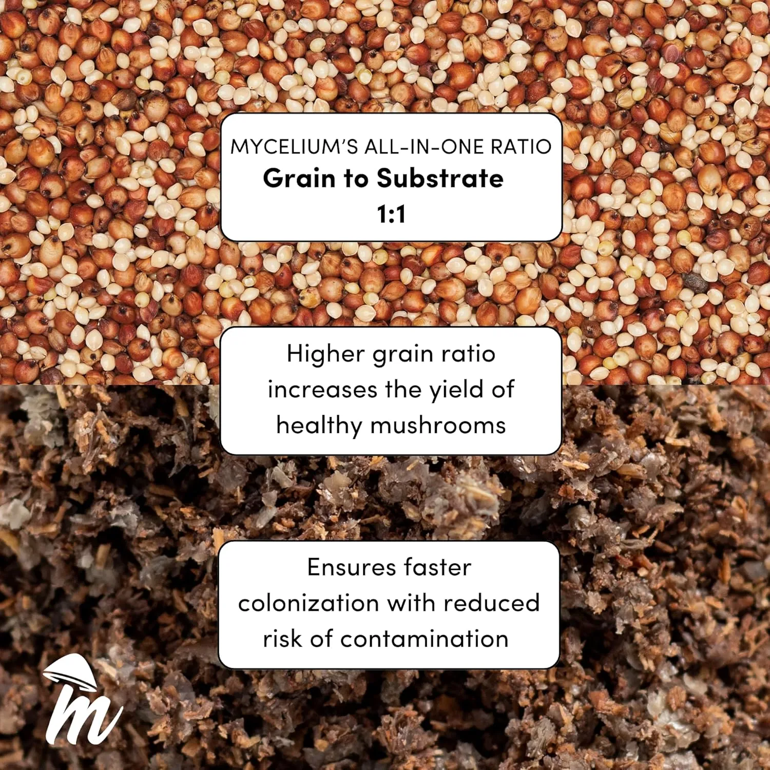 Mycelium Mushroom Growing Kit, Amauroderma Rude Gourmet I Alder & Soy Hull Substrate I High Yield Proprietary Mix I Grow Bag with 20ml Liquid Culture Syringe for Starter & Pro Home Growers, 5lbs