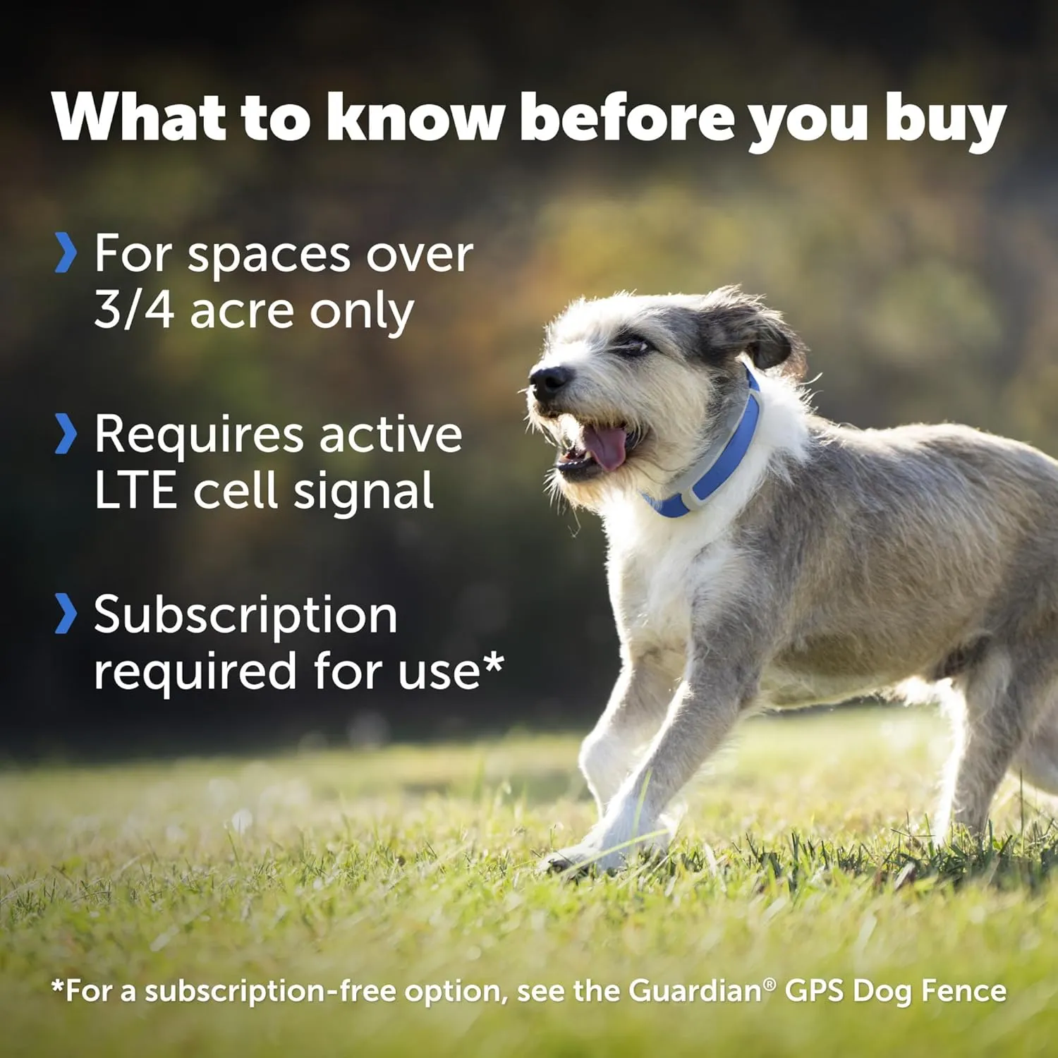 PetSafe Guardian GPS   Tracking Dog Fence Collar Pet Safe GPS Dog Collar Fence System, with App Waterproof Rechargeable Collar, Tracking for Dogs (Blue)