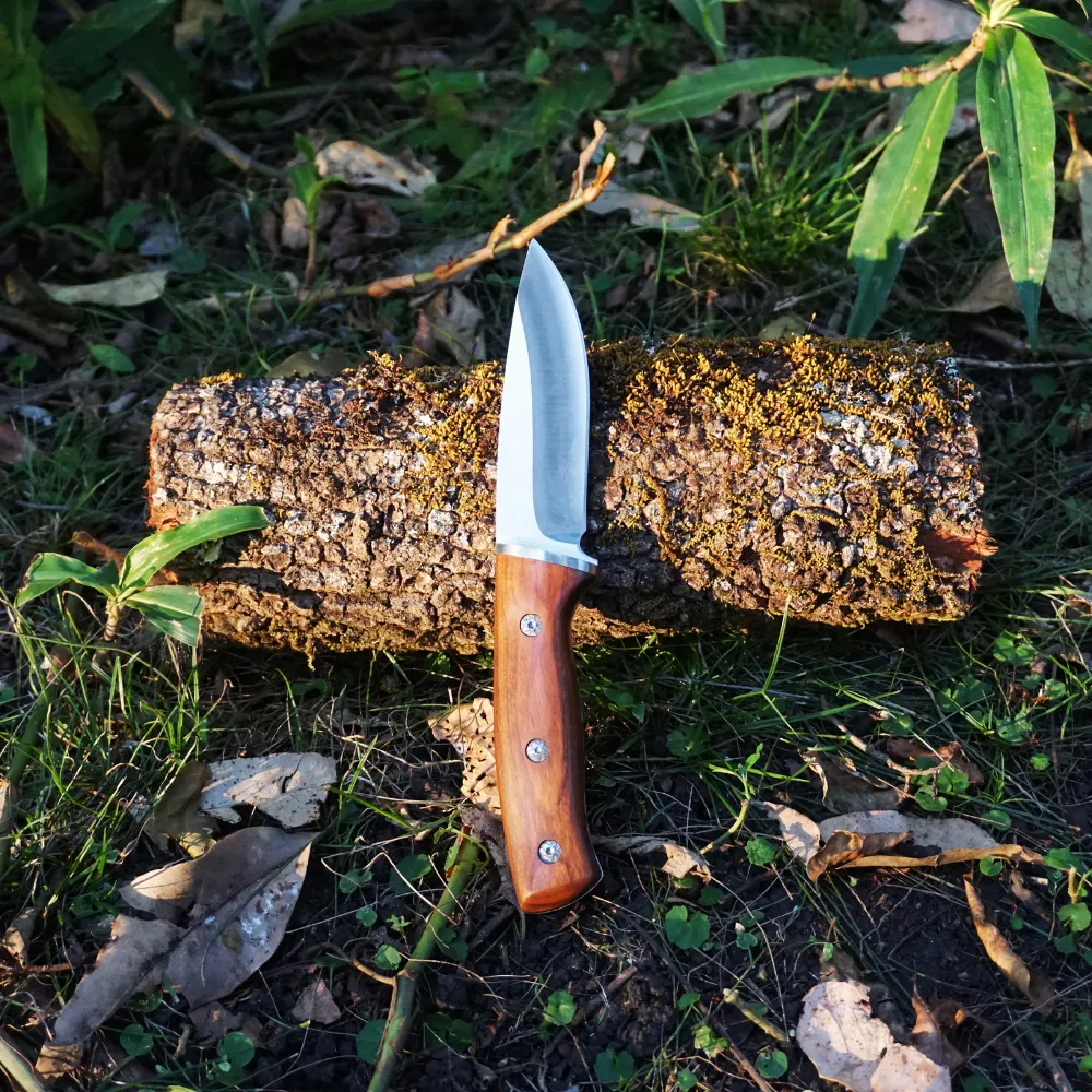 Pro Tactical Survival Knife