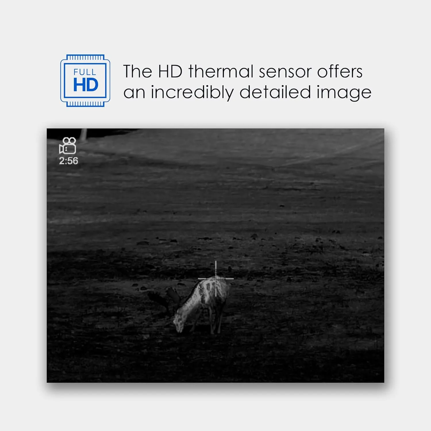 Pulsar Thermion 2 Pro Thermal Riflescope