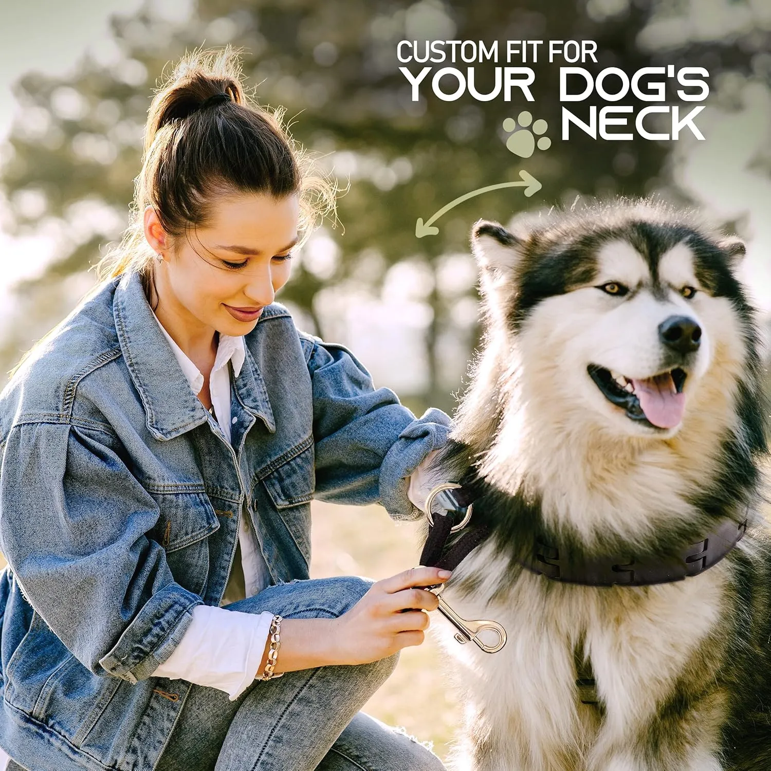 Ram-Pro Dog Training Pinch Collar Large Triple Crown Gentle Effective/No Barking Control for All Breeds