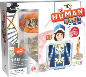 Science Lab SpiceBox Human Body Kit - Unveil The Marvels Within You