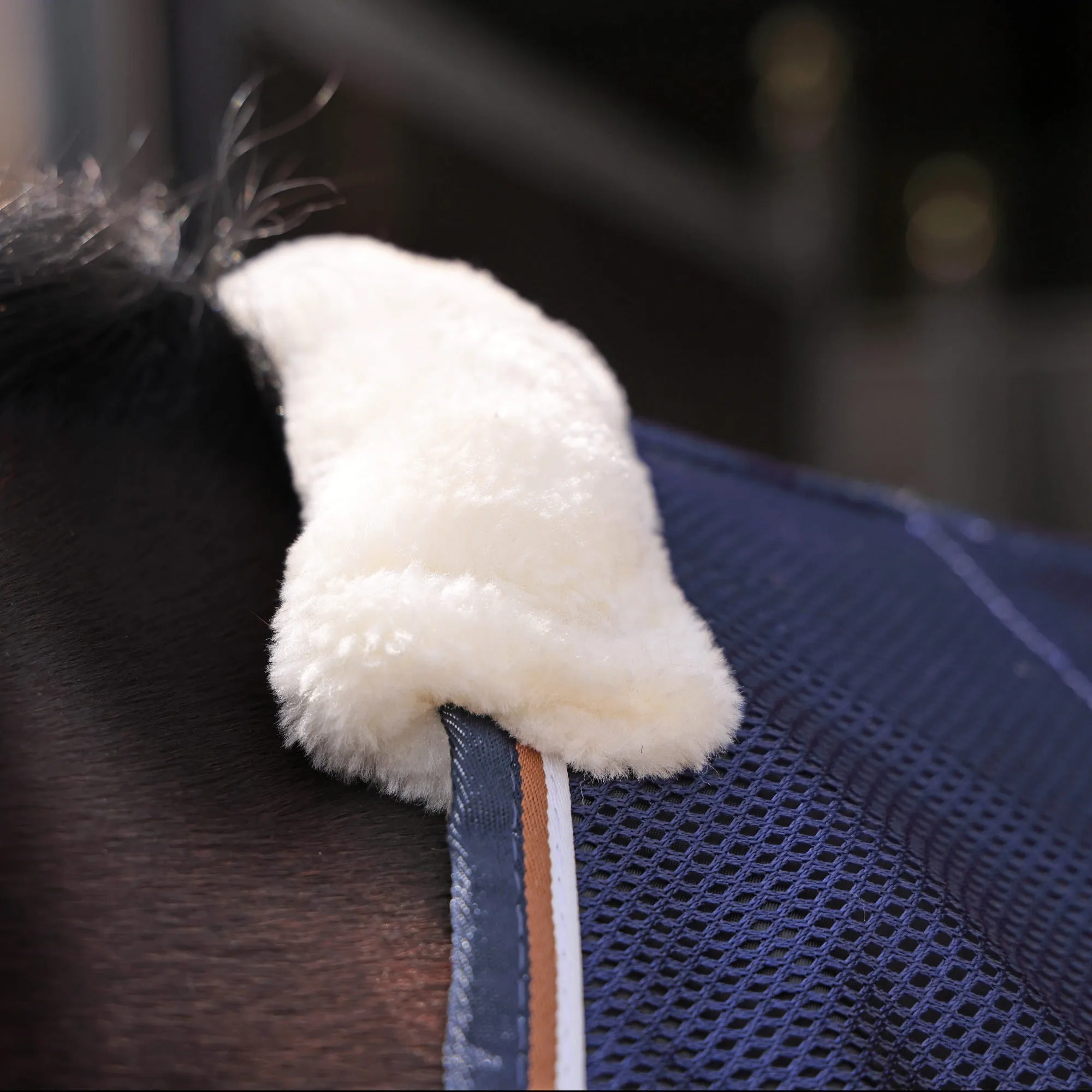 Shires Tempest Original Navy Tech Mesh Cooler