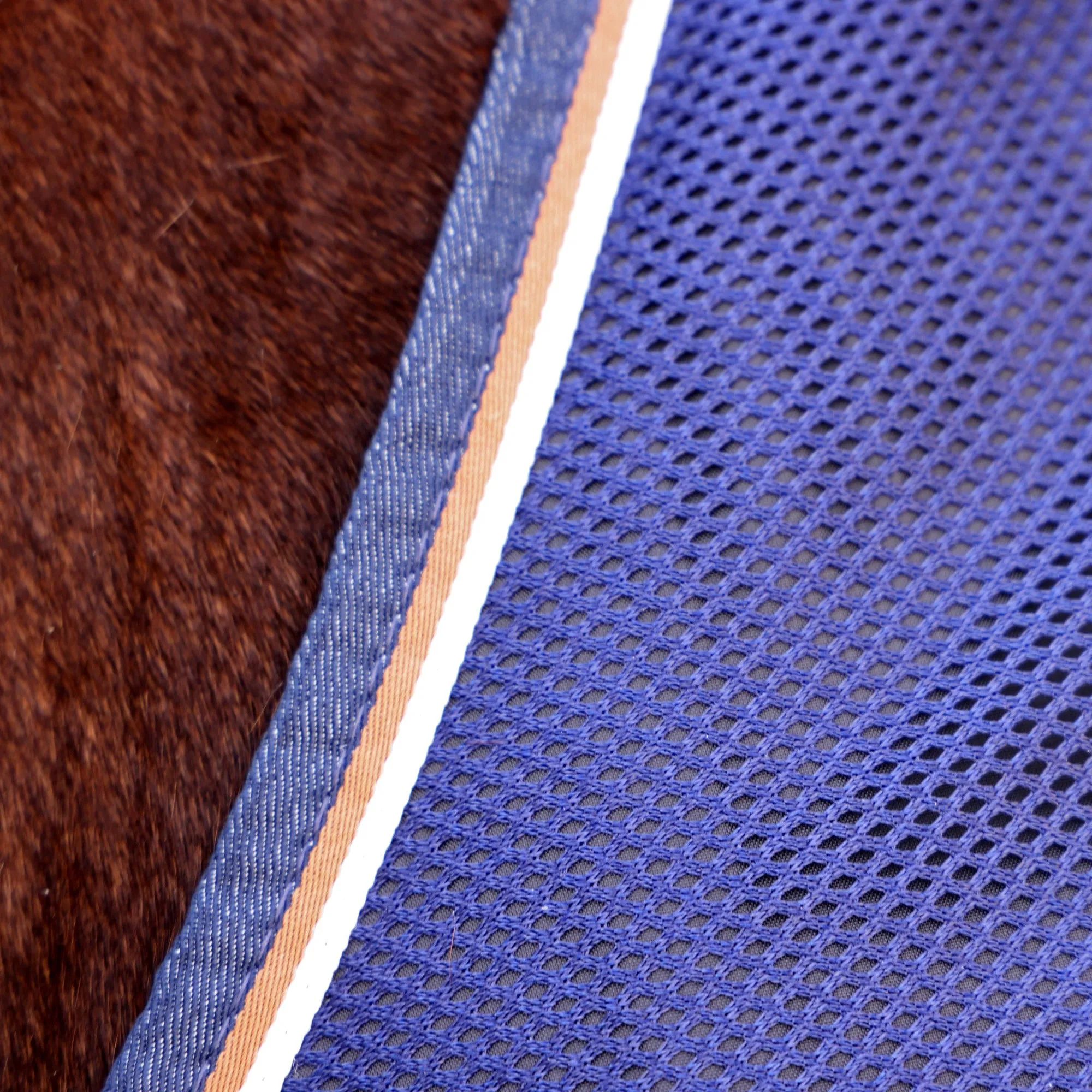 Shires Tempest Original Navy Tech Mesh Cooler