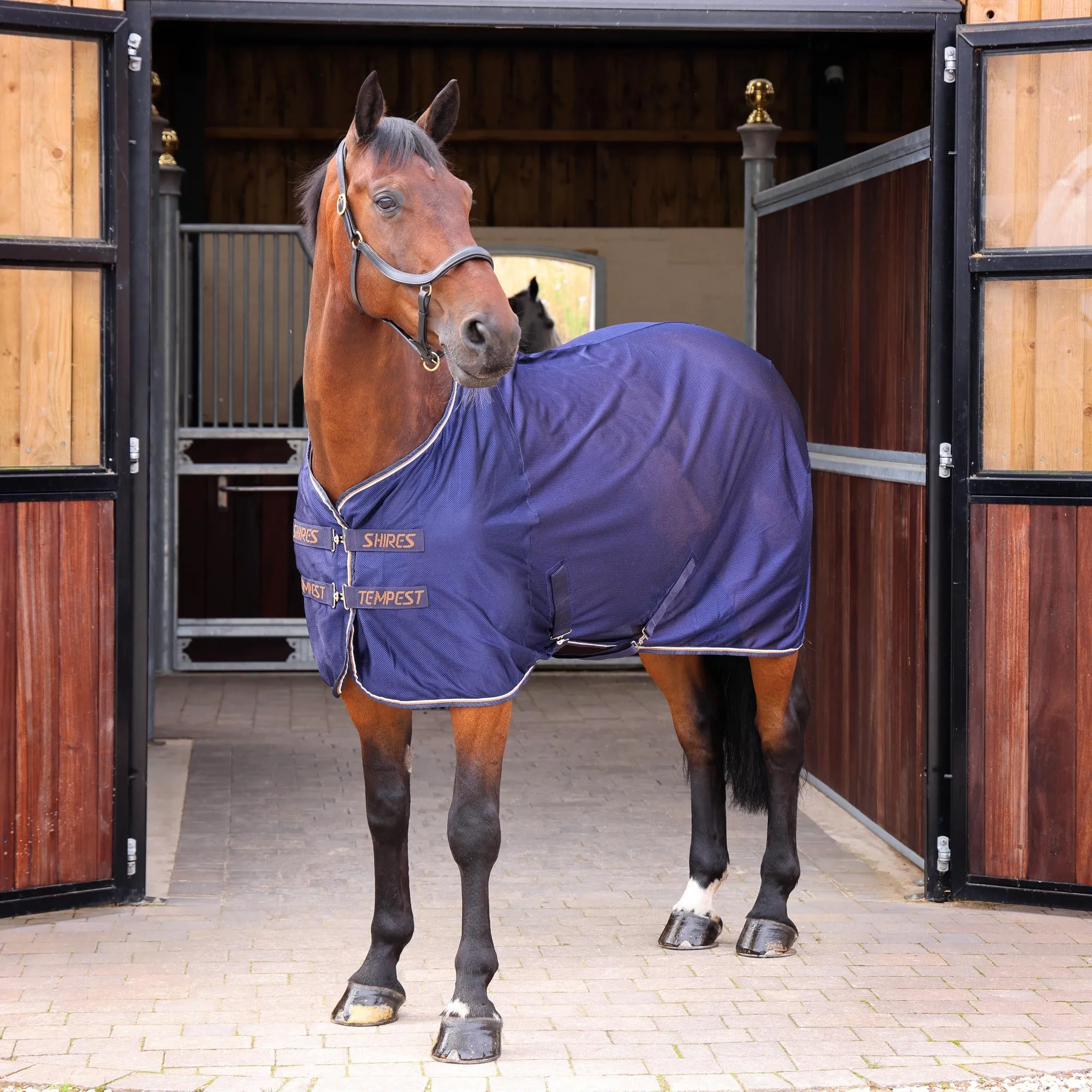 Shires Tempest Original Navy Tech Mesh Cooler