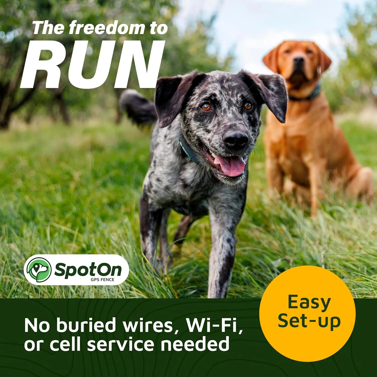 SpotOn GPS Wireless Dog Fence Collar, Accurate & Reliable, Unlimited Fences, 40  Hours Battery Life, No Subscription, Built in USA, Omni Collar Model, Medium Dog Breed Neck Size 12"-18"