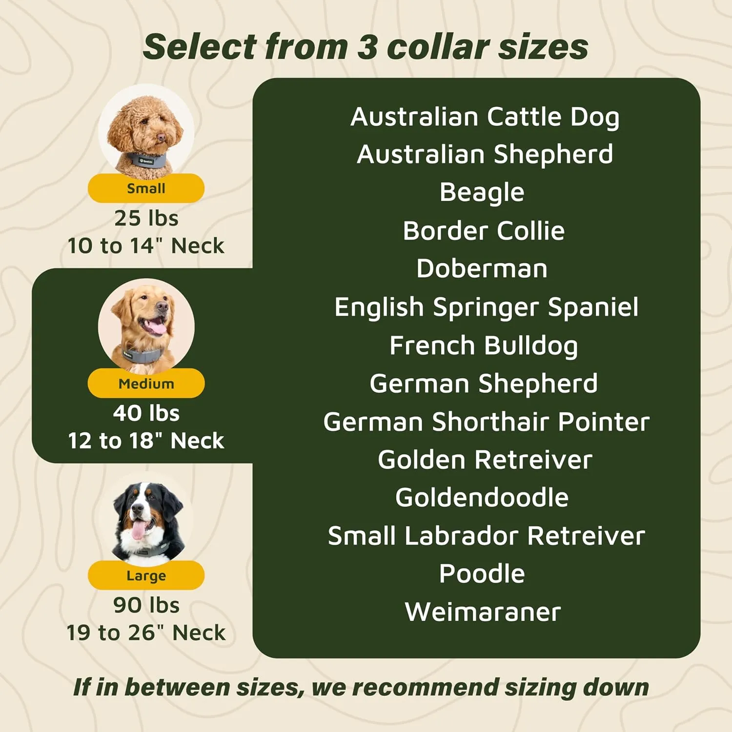 SpotOn GPS Wireless Dog Fence Collar, Accurate & Reliable, Unlimited Fences, 40  Hours Battery Life, No Subscription, Built in USA, Omni Collar Model, Medium Dog Breed Neck Size 12"-18"