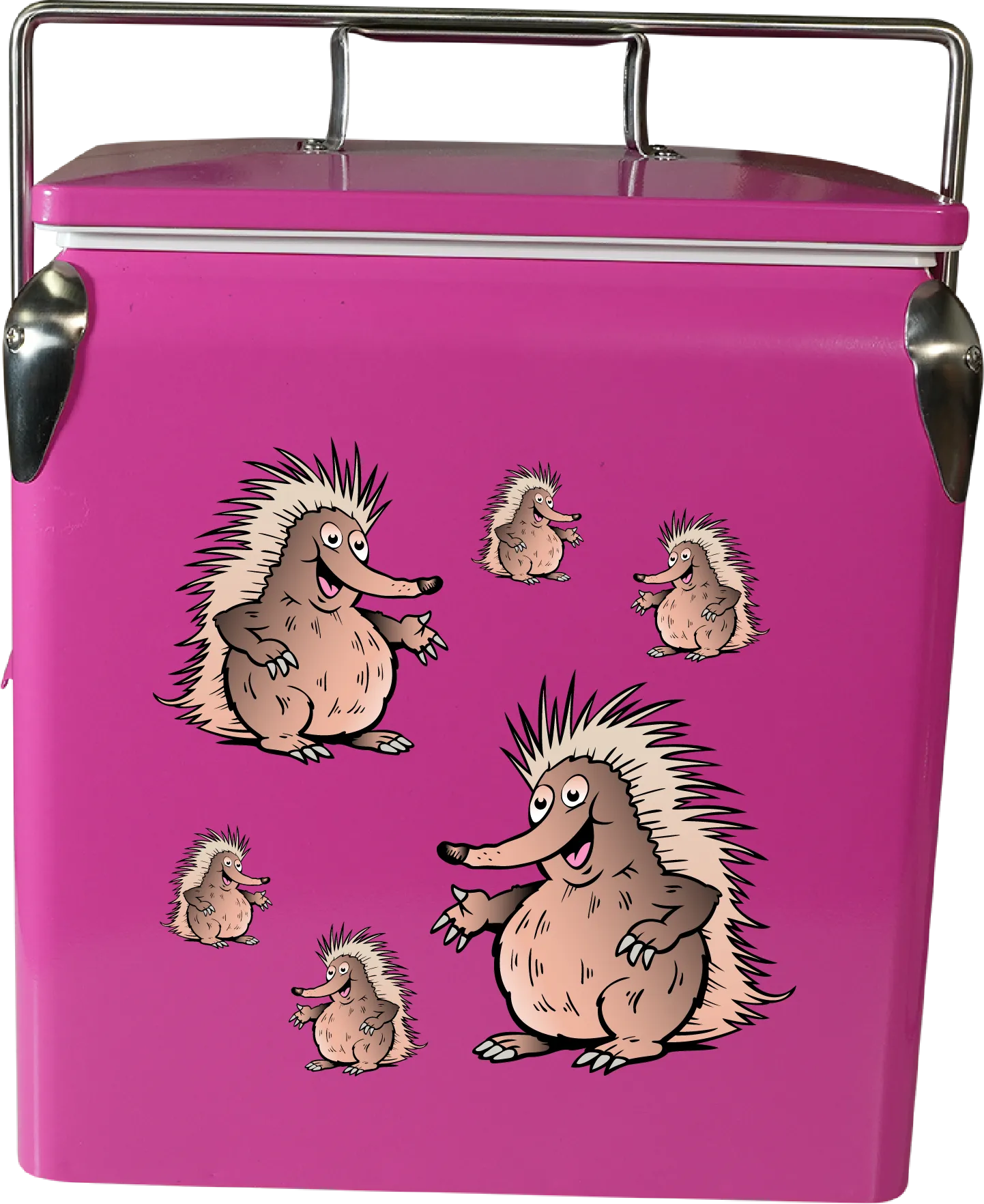 Spunky Echidna Cooler Box