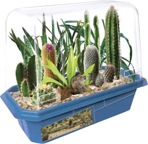 Toys By Nature Miniature Worlds Desert Oasis Succulent Garden Kit - Fast Growth Rate, Minimal Watering, Complete Set! (Desert Plant Collection)