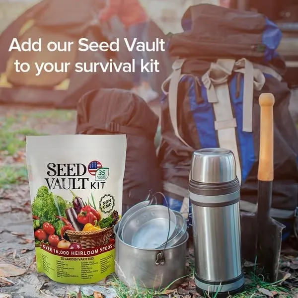 Variety Vegetable 35 Limited-time offer Comprehensive product line Vault | Seed Pack Kit