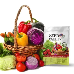Variety Vegetable 35 Limited-time offer Comprehensive product line Vault | Seed Pack Kit