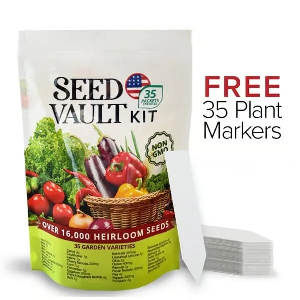 Variety Vegetable 35 Limited-time offer Comprehensive product line Vault | Seed Pack Kit