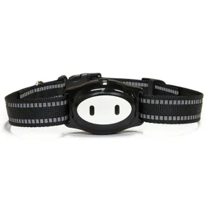 Waterproof Dog GPS Tracker Collar