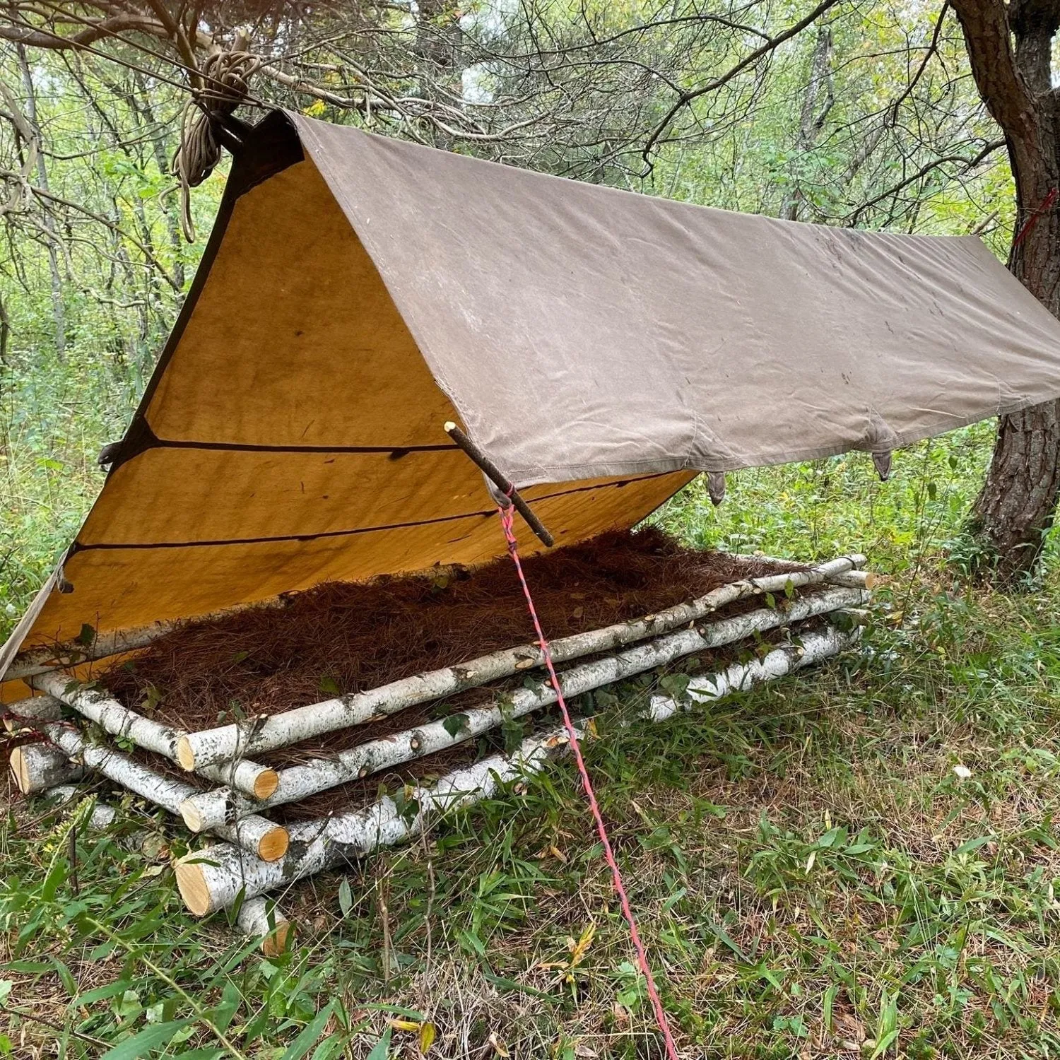 Wilderness Survival Course - Gray Bearded Green Beret Survival School